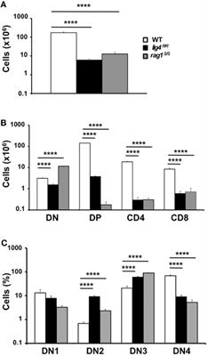 Abnormalities of Thymic Stroma may Contribute to Immune Dysregulation in Murine Models of Leaky Severe Combined Immunodeficiency